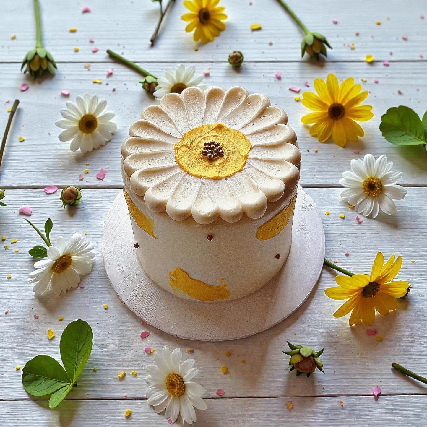 Daisy Happy on the Go